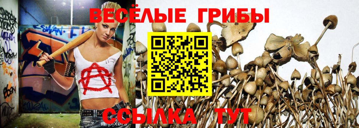 Кстово  Псилоцибиновые грибы Magic Shrooms  Вход с VPN 