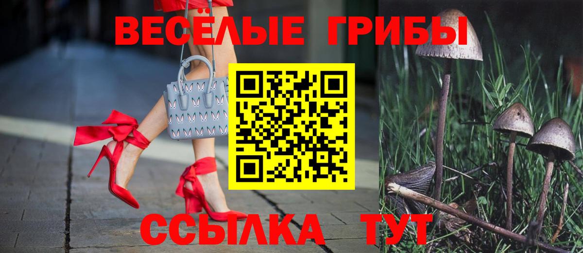 Галлюциногенные грибы Cubensis Кстово
